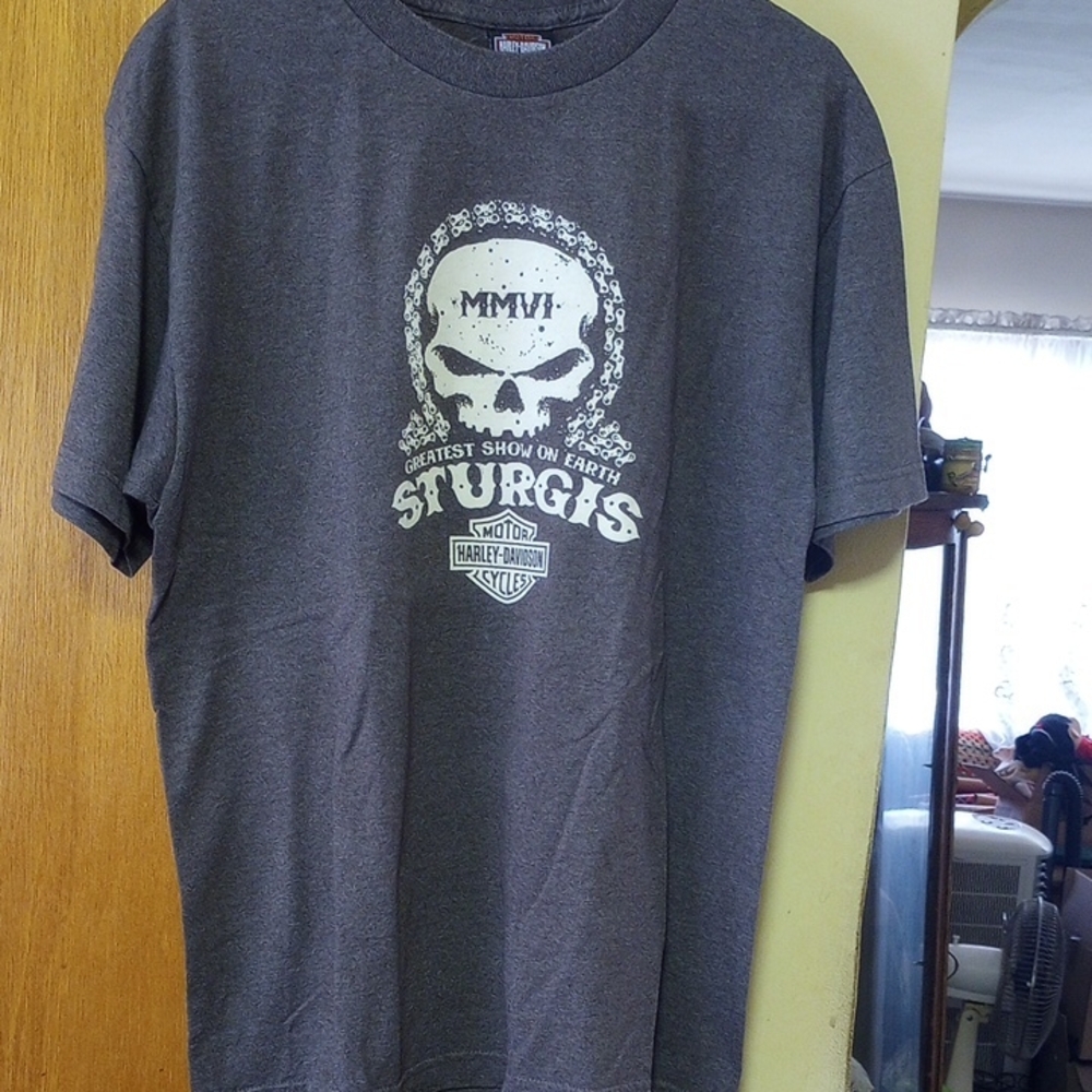 Vintage Harley-Davidson Large Gray Biker Shirt. Sturgis, South Dakota. Skull